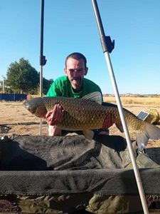 Grass Carp