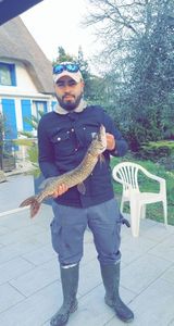 Chain Pickerel