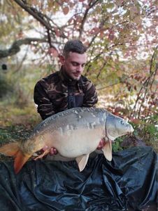 Mirror Carp