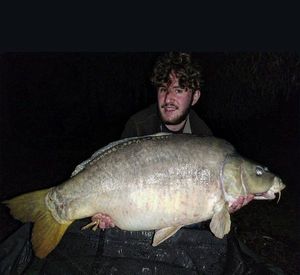 Mirror Carp