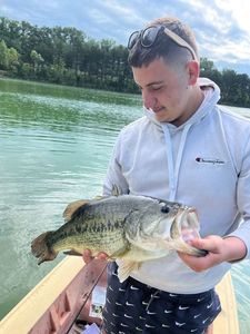 Largemouth Bass