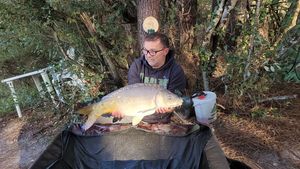 Mirror Carp