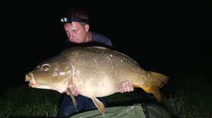Mirror Carp