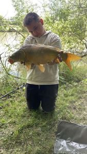 Mirror Carp