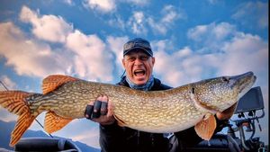 Northern Pike