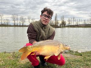 Common Carp