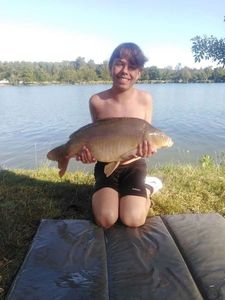 Mirror Carp