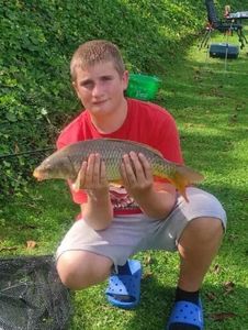 Common Carp
