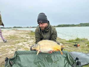 Mirror Carp