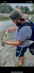 Largemouth Bass