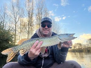 Northern Pike