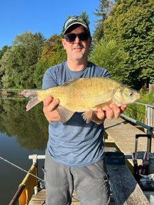 Tench