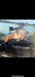 Leather Carp