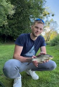 Common Bream