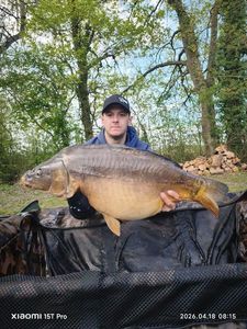 Mirror Carp