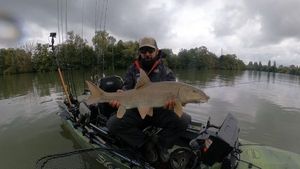 Barbel