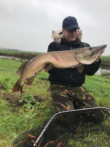Northern Pike