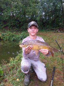 Mirror Carp
