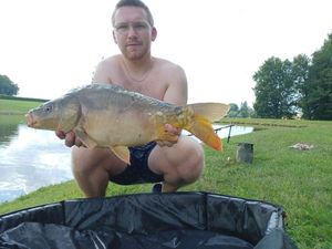 Mirror Carp