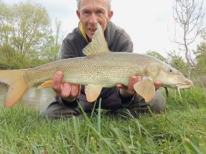 Barbel