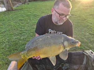 Mirror Carp