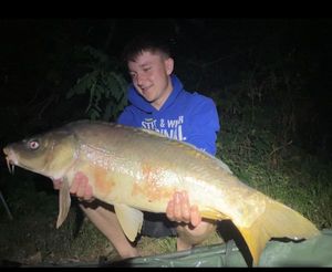 Mirror Carp