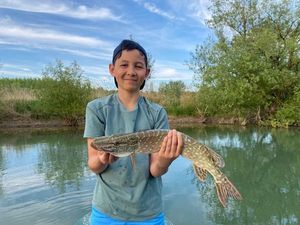 Northern Pike