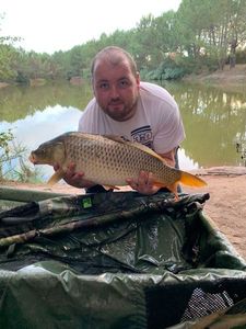 Common Carp