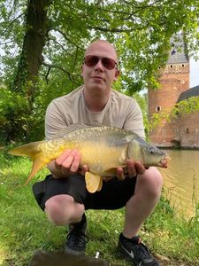 Mirror Carp