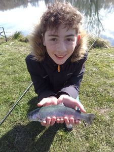 Rainbow Trout