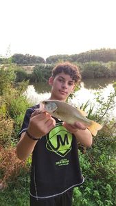 Largemouth Bass