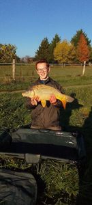Mirror Carp