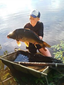 Mirror Carp