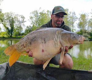 Mirror Carp