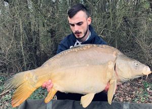 Mirror Carp