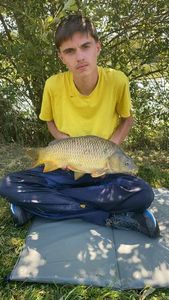 Common Carp