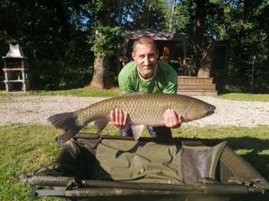 Grass Carp
