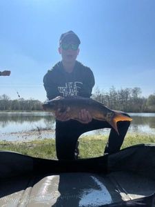 Mirror Carp