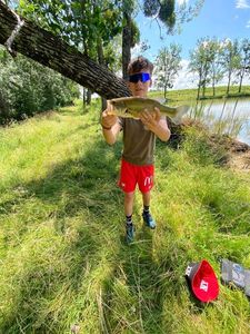 Largemouth Bass
