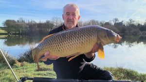 Common Carp