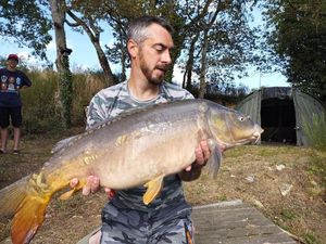 Mirror Carp