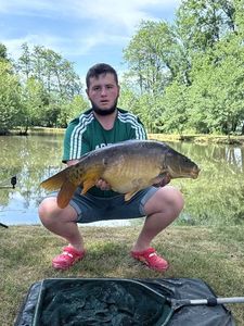 Mirror Carp