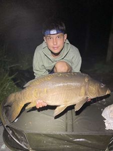 Mirror Carp