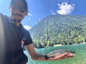 Rainbow Trout