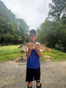 Northern Pike