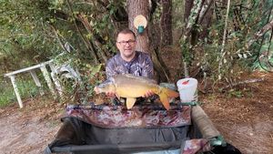 Mirror Carp