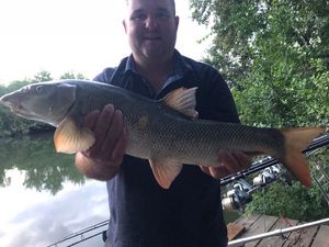 Barbel