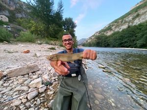 Brown Trout