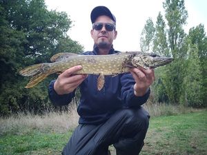 Northern Pike