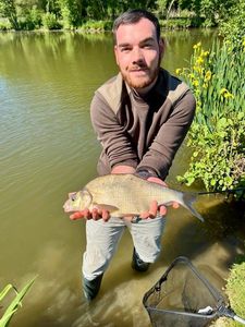 Common Bream